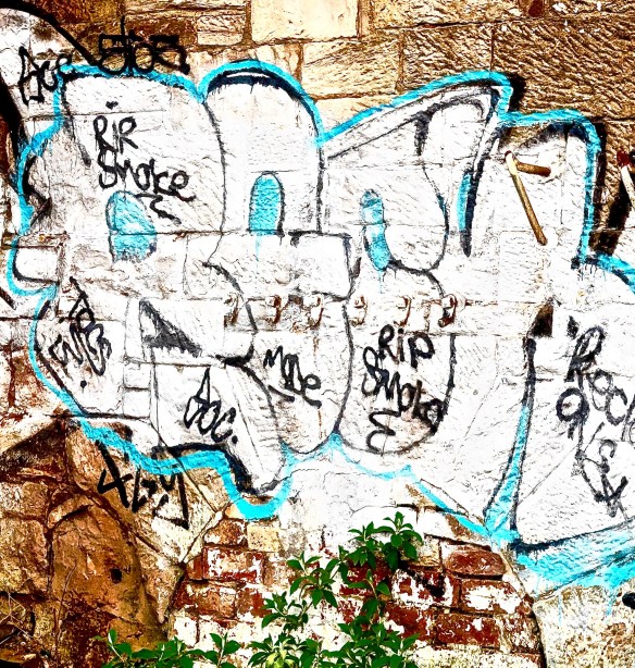 ross-and-ali-colour-1